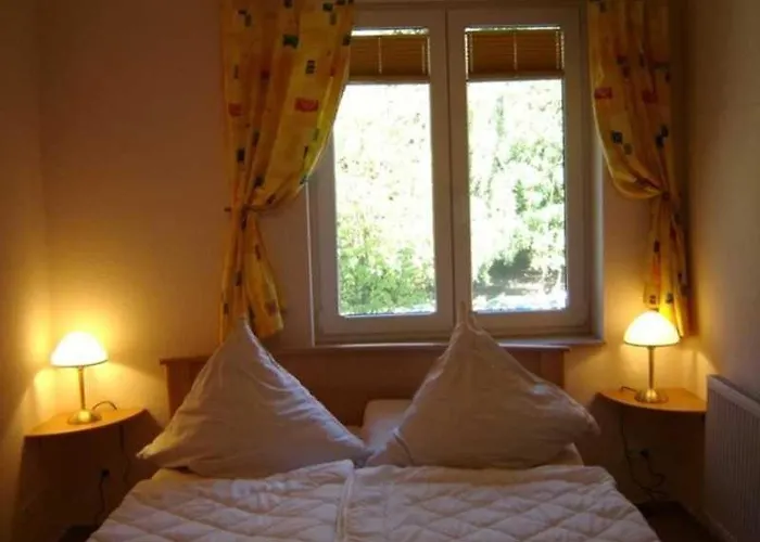 Windrose 23 Maass Gm 69552 *